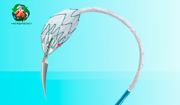 Thoracic Stent-Graft System